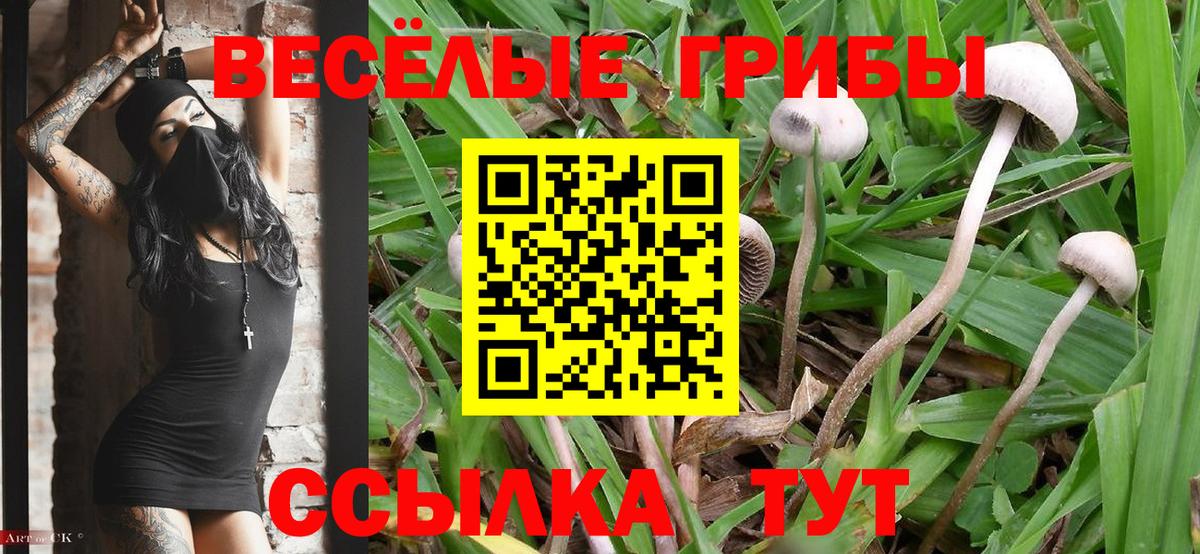 Карабулак  Галлюциногенные грибы мухоморы  как найти   Вход с VPN 